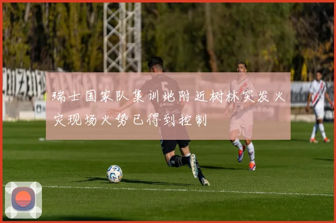 瑞士国家队集训地附近树林突发火灾现场火势已得到控制